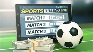 Your Ultimate Guide to tucheze bet