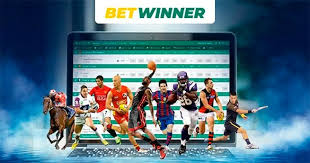 Explore the Exciting World of BetWinner Casino DE 6