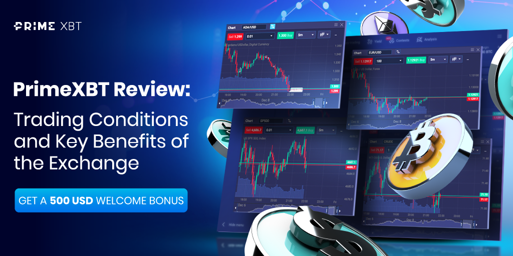 Exploring PrimeXBT Forex Trading Opportunities and Strategies