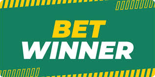 Experience the Thrill of BetWinner Live Casino 17