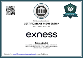 Exness FX Review A Comprehensive Insight into Trading