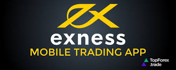 Guide to Exness Terminal Download Get Started with your Trading Journey