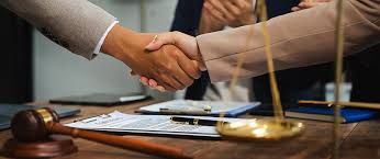Championing Justice The Role of Human Rights Law Firms 1348824488 Championing Justice The Role of Human Rights Law Firms 1348824488